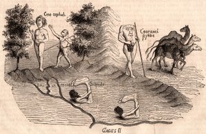 Representation of Medieval Tribes and Animal Species: Monocules, Blemmys, Sciopodes and Camels