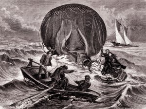 Rescue of the Habs ball, mounted by Mr. and Mrs. Durouf. Shipwrecked on the coast of England on September 1