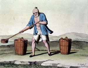 Rice Cultivation in China (19th Century Print) by Unknown artist