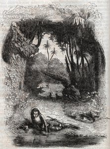 Ruggiero on the island of Alcina - 1851 engraving from the poem 