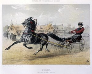 Russia: Orloff breed trotter - in The Centaur 1867 by Unknown artist