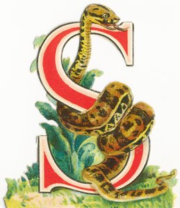 S: Snake