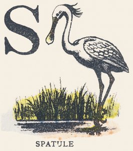 S: Spatula
