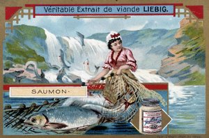 Salmon Fishing - Chromo of the 19th Century by Unknown artist