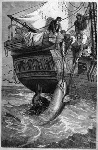 Shark fishing. 19th century engraving. Private collection. by Unknown artist