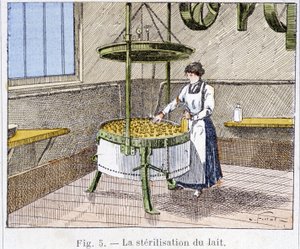 Sterilization of milk - engraving, late 19th century