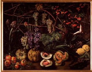 Still life with grapes and squashes by Unknown artist