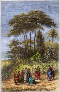 The School of Pythagoras - Pythagoras Among His Pupils in Crotona - Engraving 1879 - The Philosopher Pythagoras and His Disciples Under the Shading of Crotone, Engraving of 1879. by Unknown artist
