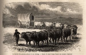 The big plains steer and its hitch. Engraving to illustrate the voyage to the far west American, by M. L. Simonin, in 1867, published in 