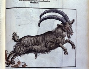 The Capricorn after Historiae Animalium by Konrad Gesner, Tiguri by Unknown artist