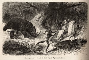 The Charge of the Rhinoceros by Unknown artist