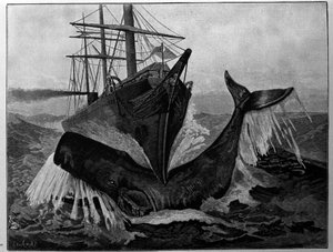 The Collision Between a Boat and a Sleeping Whale by Unknown artist