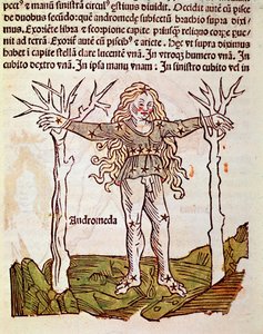 The constellation of Andromeda (detail) from Poeticon astronomicon attributed to Hyginus (1st century BC)