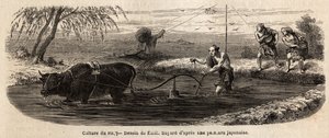 The Cultivation of Rice: First Stage by Unknown artist