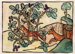 The Fox and the Grapes