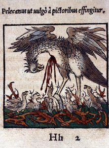 The legend of the pelican: he gives his blood and bowels to feed his young. From Historiae animalium by Konrad Gesner by Unknown artist