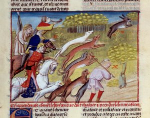 The Miniature Hare Hunt from 