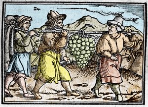 The return of Joshua and Caleb with a huge bunch of grapes from the land of Canaan (Promised Land). Chronicle by Johann Stumpff Den edlen strucen besten fromen by Unknown artist