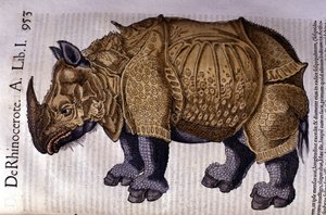 The rhinoceros after Historia Animalium by Conrad Gesner 1560 by Unknown artist