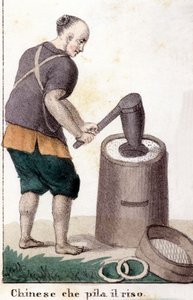A Chinese Man Pillaging Rice - in Il Costume Universale di Tutti i Popoli del Mondo (The Universal Costume of All the Peoples of the World) by Unknown artist