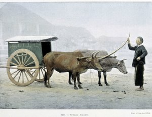 Vietnamese Hitch, “Around the World”, late 19th century by Unknown artist