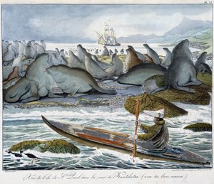 View of the island of St. Paul in the sea of Kamchatka with sea lions. by Unknown artist