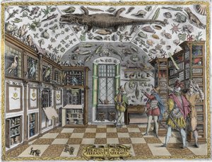 View of the museum (cabinet) of curiosities (encyclopedic museum) of the pharmacist Ferrante Imperato (1550 - 1631). Engraving from 1678. Museum of the Neapolitan apothecary Ferrante Imperato by Unknown artist