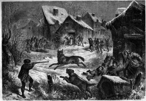 Wolf hunting in the village of Saliers, Bouches du Rhone, 31 December 1860. Engraving in 