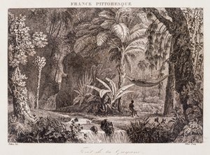 Engraving Depicting the French Colony of Guyana in South America 1850 by Unknown artist