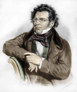 Portrait of Franz Schubert (1797-1828), Austrian Composer by Unknown artist