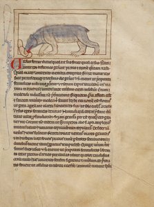 A Bear by Unknown artist