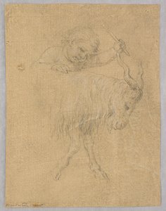 A Boy Driving a Goat