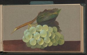 A Bunch of Grapes by Unknown artist