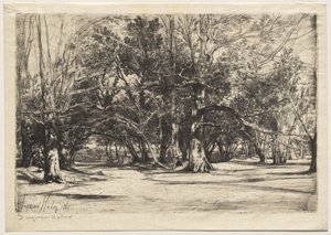 A By-Road in Tipperary by Unknown artist