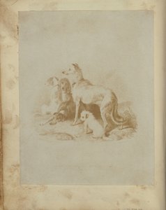 A Group of Five Dogs by Unknown artist