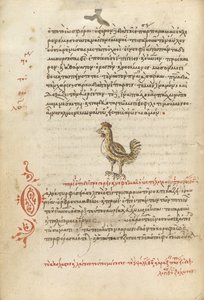 A Hen by Unknown artist