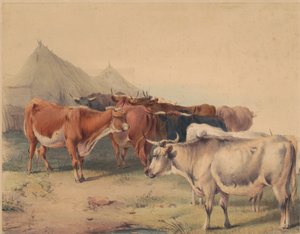 A Herd of Cattle by Unknown artist