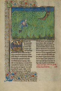 A Hunter and a Dog Tracking in a Thicket