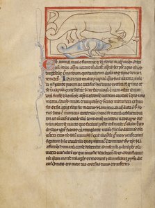 A Hydrus by Unknown artist