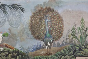 A Peacock (detail)