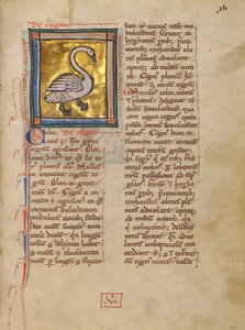 A Swan by Unknown artist