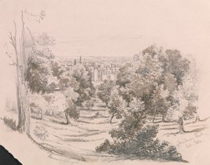 A View of Danbury Park