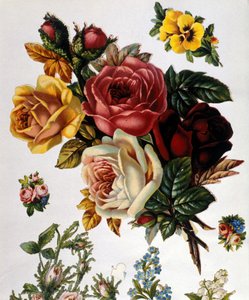 A Bouquet of Roses