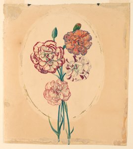 A bunch of four carnations