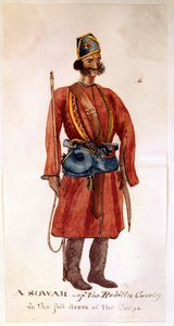 A sowar of the Rohilla Cavalry by Unknown artist