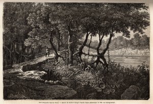 A suspended bridge in the Terai by Unknown artist