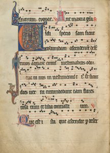 Antiphonal by Unknown artist