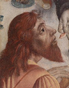Apostle