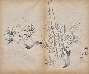 Bamboo by Unknown artist