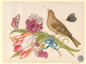 Bird with Tulip, Carnation, Butterflies, and Insect